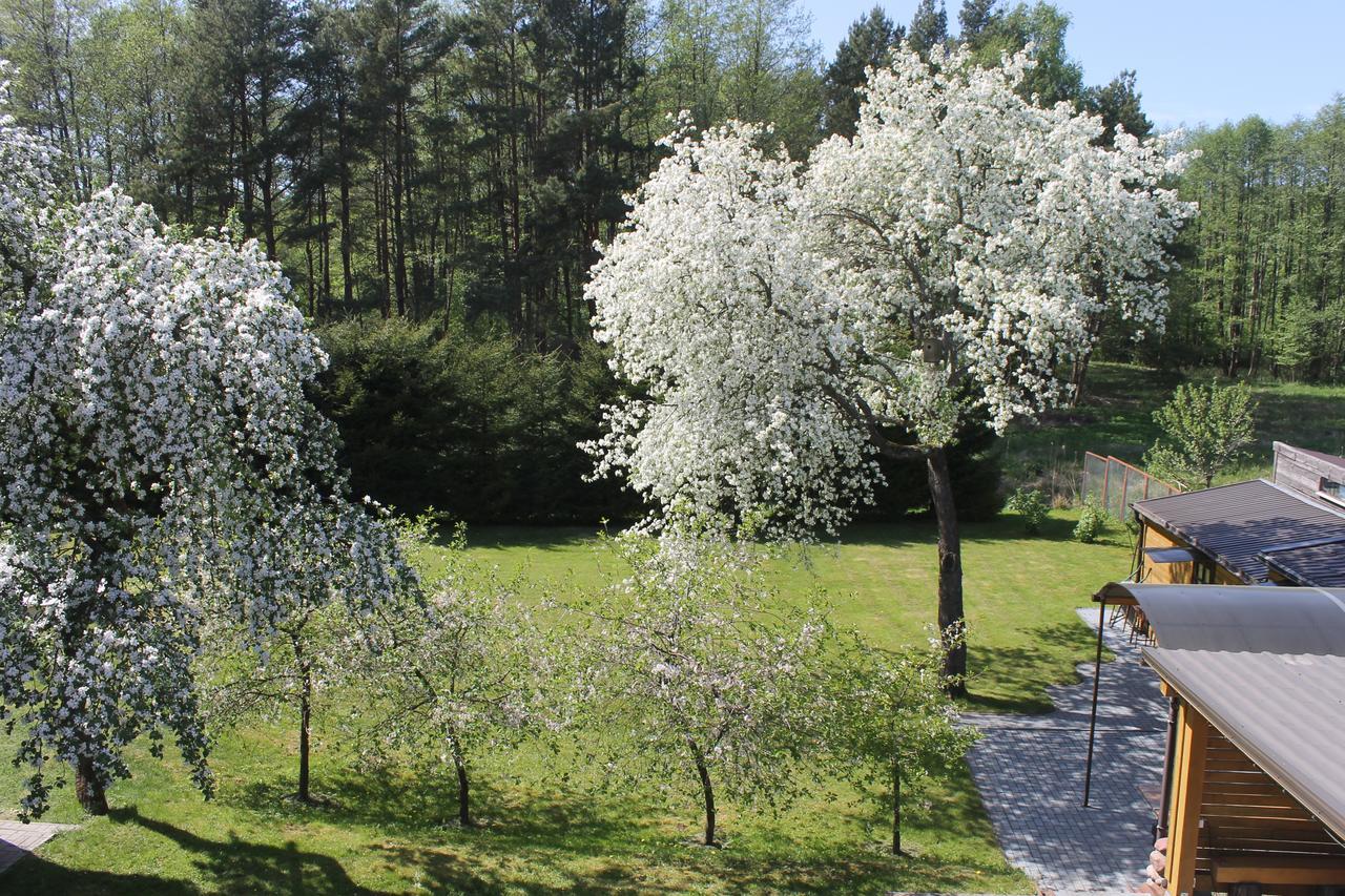 Paliepgiris Palanga Exterior foto